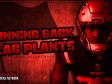 flag plants RB